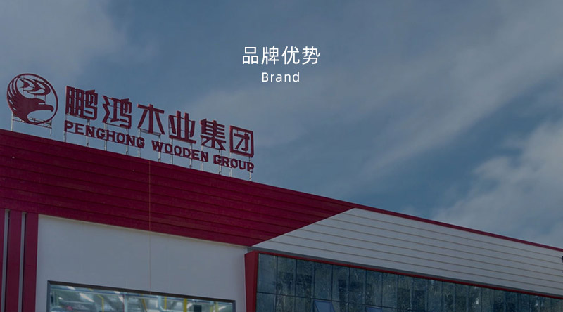 板材品牌、全屋定制品牌、生態(tài)板十大品牌